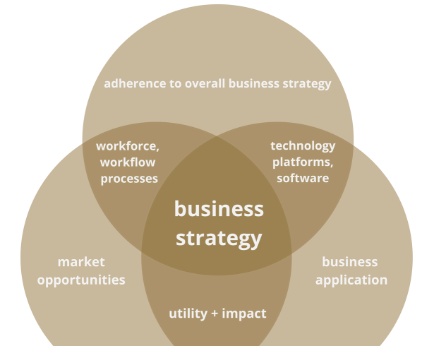 Elena Debbaut - business vision